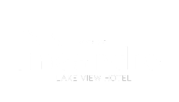 logo-partner-meandro